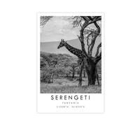 WLQZFRWV Serengeti Travel, Serengeti Poster Canvas Poster Wall Art Decor Print Picture Paintings for Living Room Bedroom Decoration 16x24inch(40x60cm)