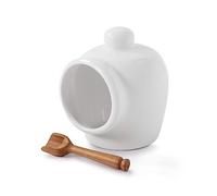 WM Bartleet & Sons 1750 T52W Traditional Porcelain Small Pig with Wooden Salt Serving Spoon-White, 9cm