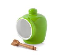 Wm Bartleet & Sons Traditional Porcelain Small Salt Pig with Wooden Salt Serving Spoon - Green