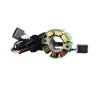 WMAMBZNDHP Motorcycle Stator Coil Fit For Kawasaki KX250F 2004-2010 21003-0015 21003-0048 21003-0027 21003-0091 Generator Magneto Coil KX 250F