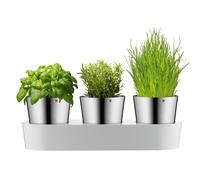 WMF 0641306040 Gourmet Herb Garden Set of 3 3 parts