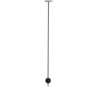WMF Nuro Fruit Skewer 23 cm with Silicone Ball, Cromargan Stainless Steel, for All Nuro Water Carafes 1 Litre, Dishwasher Safe