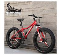 Wmmner 26 Zoll Hardtail Mountainbike Fat Tire Halterungain Trail Bike Für Erwachsene Männer Frauen, Mechanische Scheibenbremsen Mountainbike Mit Vorderradaufhängung, Kohlenstoffstahl, 5 Speichen Orang