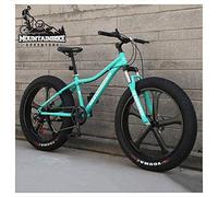 Wmmner 26 Zoll Hardtail Mountainbike Fat Tire Halterungain Trail Bike Für Erwachsene Männer Frauen, Mechanische Scheibenbremsen Mountainbike Mit Vorderradaufhängung, Kohlenstoffstahl, 5 Speichen Orang