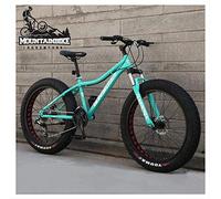Wmmner 26 Zoll Hardtail Mountainbike Fat Tire Halterungain Trail Bike Für Erwachsene Männer Frauen, Mechanische Scheibenbremsen Mountainbike Mit Vorderradaufhängung, Kohlenstoffstahl, 5 Speichen Orang