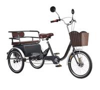 Wmmner 3 Wheels Bicycle for Adult and Elderly,Double Person Trike with Back Seat,Rickshaw Tricycle,Human Powered Bike with Dual Rearview Mirrors,Front and Rear Drum Brakes/K Grey/20Inch