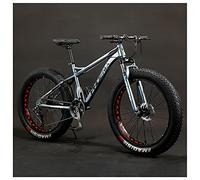 Wmmner Adult Mountain Bike, 24-Inch Wheels, Mens, Womens Steel Frame, Fat Tire Mountain Bikes Hardtail Mountain Bicycle, Mechanical Disc Brakes,Gray,27 Speed/Grey/21 Speed