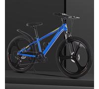 Wmmner Bikes,Mountain Bicycle with Shock Absorber Front Fork,Dual Disc Brakes,City Commuter Bike,Adjustable Saddle,Cruiser Bicycles,3 Wheel,7 Speeds Hybrid Bikes,for Traveling Grey 24Inch/Blue/26Inch