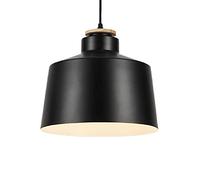 Wmmner Black Creative Hanging Lamp Simplicity Single Head Light Vintage European Ceiling Lighting Fixture Semi-Flush Mount Chandelier for Restaurant Living Room Bar Dignified