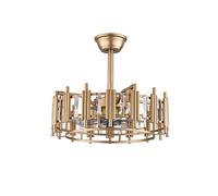 Wmmner Chandelier, Hanging Lamp 20" Caged Invisible Ceiling Fan Light Modern Matte Gold 3 Speed Chandelier Flush Mount W/Remoteng Decoration Create an Atmosphere Use Worth Choice! Led/One Color