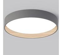 Wmmner Energy Saving Circular Flat Led Light Household Disc Shaped Ceiling Fixture Ironwork Industrial Lamp Led Flush Mount Lights for Living Room Porch Bedroom Foyer/Ash/19.7In