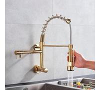 Wmmner Innovative Wall-Mounted Black/Chrome Brass Kitchen Faucet - Single Cold Water Vessel Sink Tap with Dual Swivel Spouts for Bathroom & Kitchen Polished Finish/Gold Polish
