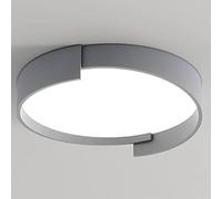 Wmmner Modern Creative Dimmable Panel Light Round Flush Mount Lamp 3 Variable Color Ceiling Lighting Nordic Style Disc Shaped Flat Lights for Dining Room Study Bedroom Corridor/Ash/19.7In