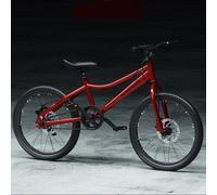 Wmmner Mountain Bike 20 Inches 6 to 12 Years Old Bicycle Boy Girl Light Mountain Bike Bicycle Children/a