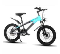 Wmmner Mountain Bike 22 Inches Single Speed + Double Disc Brakes + Shock Absorber Children's Bike Boy Girl Bike Suitable for 7-15 Years Old Children in/C/20Inches