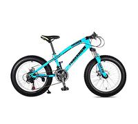 Wmmner Mountainbike, Erwachsene Rennrad 24 Zoll 21/24/27 Geschwindigkeit Männer Frau Öl Frühling Gabel Front Gabel Fahrt Blau-20 21 Geschwindigkeit/Blau/20 24 Geschwindigkeit
