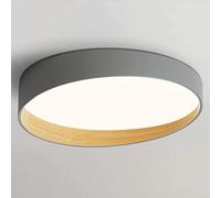 Wmmner Retro Metal Ceiling Flush Light Fixtures Personalized Round Flat Lamp Household Indoor Lighting Lights Fashionable Nordic Led for Study Basement Foyer Villa/Ash/15.7In