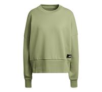 (WMNS) adidas W Fi 3s Crew Stripe Sports Round Neck Pullover Long Sleeves Hoodie Green HC1639 XL
