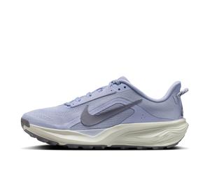 (WMNS) Nike x ACG Pegasus Trail 'Ghost Mineral Slate' HV8121-003 10.5