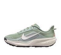 (WMNS) Nike x ACG Pegasus Trail 'Jade Horizon Light Silver' HV8121-310 5