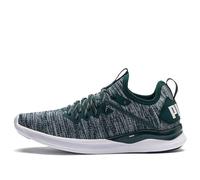 (WMNS) PUMA Ignite Flash Evoknit 'Gray Green White' 190511-16 5.5
