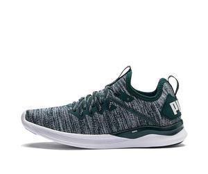 (WMNS) PUMA Ignite Flash Evoknit 'Gray Green White' 190511-16 6