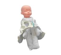 Wmqbjta Childbirth Demonstration Science Education Life Size Female Pelvis Model