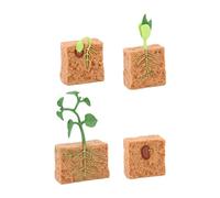 Wmqbjta Life Cycle of - Lifelike Plant Figures for Children