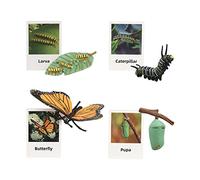 Wmqbjta Set of Animal Figurines Representing Stages of Growth, Ideal for Developmental Simulation And Creative Learning for Children, Butterfly