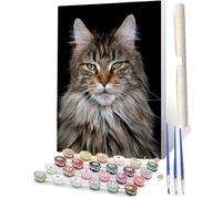 WMZPOY Paint by Numbers for Adults and Modern DIY Paint by Number Maine Coon cat Oil Paintings Arts and Crafts Paint by Numbers Kits Acrylic Painting 16 x 20 Inch
