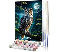 WMZPOY Paint by Numbers for Adults and Modern DIY Paint by Number Night Sky Scenery, Tree Branches, owl 008 Oil Paintings Arts and Crafts Paint by Numbers Kits Acrylic Painting 16 x 20 Inch