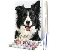 WMZPOY Paint by Numbers for Adults DIY Paint by Numbers Adults Paint by Number Acrylic Painting Kit Border Collie-2 with Painting for Friends Family 16x20 Inches