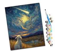WMZPOY Paint by Numbers Gazing Under The Starry Sky Abstract for Adults and Kids DIY Oil Painting Gift Kits Pre-Printed Canvas Art Home Decoration 16x20 inch Frameless