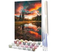 WMZPOY Paint by Numbers Kit for Adults Paint by Number Kits on Canvas with Brushes Acrylic Pigment Scenic Starry Sky Sunset_017 DIY Oil Painting for Home Wall Decor (40x50cm16x20 inch)