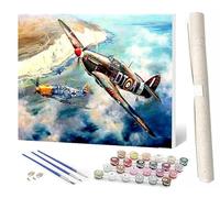 WMZPOY Paint by Numbers Kits for Adults Beginner Sky Plane DIY Oil Painting for Adults on Canvasfor Home Bedroom Living Room Wall DecorGifts Choice