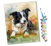 WMZPOY Paints by Numbers for Adult Border Collie Playing Baseball (9) Kits for Beginners Adults DIY Art Decor Hand Painted Painting Creative Gift Home Decoration 16x20 inch Frameless