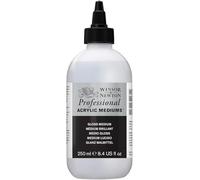 Winsor & Newton Professional Acrylic Gloss Medium 250 ml
