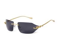 WNCKSQ Retro Leopard Sunglasses for Women Men Classic Metal Gold Polygon Rimless Gradient Fashion Glasses Uv400(C1)