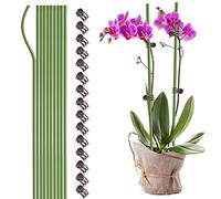 Wnvivi 20Pcs Plant Support Stakes with 30Pcs Clips,Single Stem Orchid Stakes,Bendable Plant Sticks Support for Indoor Outdoor Plants(Green,60cm)