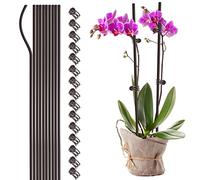 Wnvivi 20Pcs Plant Support Stakes with 30Pcs Clips,Single Stem Orchid Stakes,Bendable Plant Sticks Support for Indoor Outdoor Plants(Black,60cm)