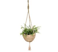 Wnvivi Hanging Seagrass Plant Baskets,25cm Wall Hanging Succulent Pot Basket,Small Seagrass Woven Hanging Baskets for Planting Organizing (Brown)