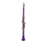 WNWN Bb Clarinet ABS Clarinet 17-Key Cupronickel Plated Nickel Kit W/Clarinet+Reeds+Strap+Case+Components Purple Professional Clarinet