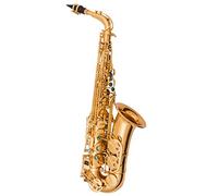 WNWN E Flat Retro Alto Saxophone Saxophone Double-reinforced Playing Instrument Professional Saxophone (Color : Electrophoresis paint gold)