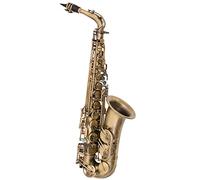 WNWN E Flat Retro Alto Saxophone Saxophone Double-reinforced Playing Instrument Professional Saxophone (Color : Vintage sand gold)