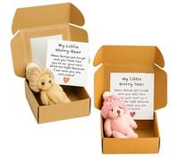 WNXBFO 2 Pcs Worry Bear, Little Bear In A Box, Emotional Support Gift For Women, Students, Coworkers, Desk Decoration And Travel Companion, Thinking Of You Get Well Soon Decoration(Pink, Brown)
