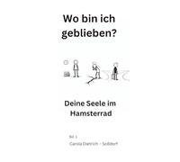 Wo bin ich geblieben?: Deine Seele im Hamsterrad