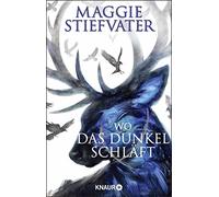 Wo das Dunkel schlaft: Das phanomenale Finale d, Stiefvater, Komina, Knuffin.