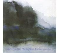 Wo Der Wind Der Steg Umwehet