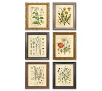 Wociud Ink Inc Botanical Prints Wildflower Prints Floral Wall Art - Set of 6-8x10 - Unframed