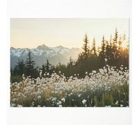 Wodkodnxy Nature Spring Landscape Canvas Wall Art, Botanical Daisy Floral Scenery Poster, Rustic White Wildflowers Field Painting, Nordic Forest Art Print, Spring Wild Flowers Picture 8x12in Unframed